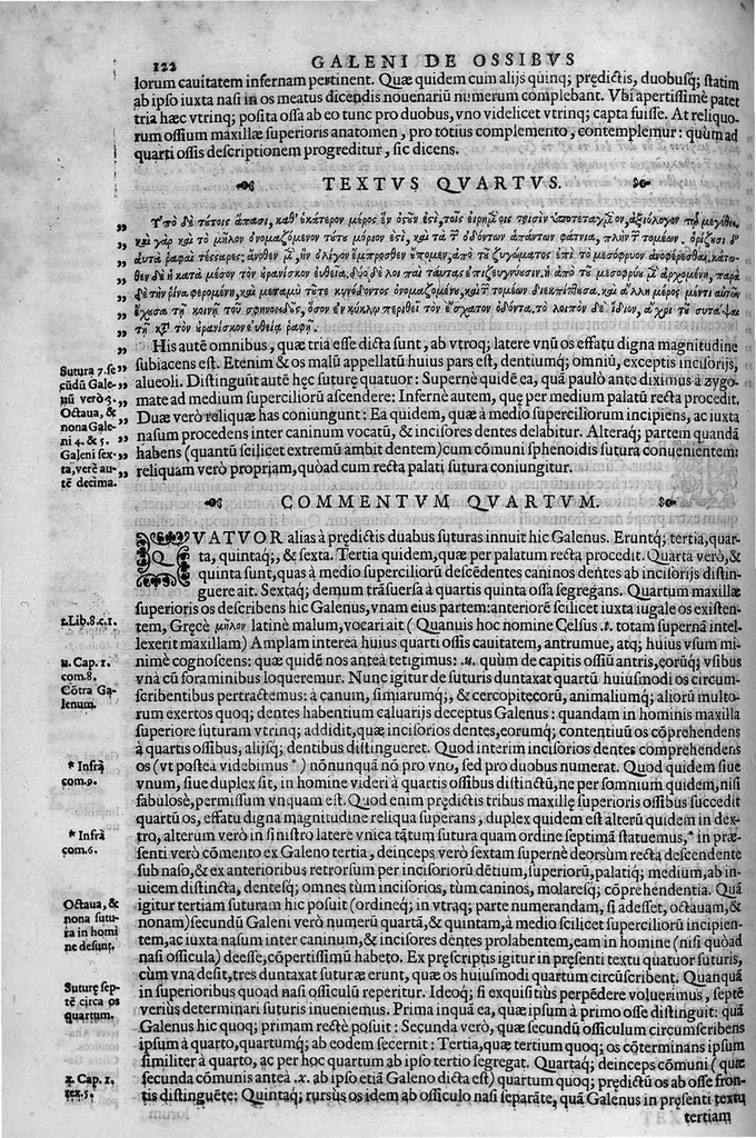 An illustration from Joan. Philippi Ingrassiae,... In Galeni librum de Ossibus... commentaria, nunc primum sedulo in lucem edita... quibus appositus est graecus Galeni contextus, una cum nova et fideli ejusdem Ingrassiae in latinum versione, 1603, leaf 127