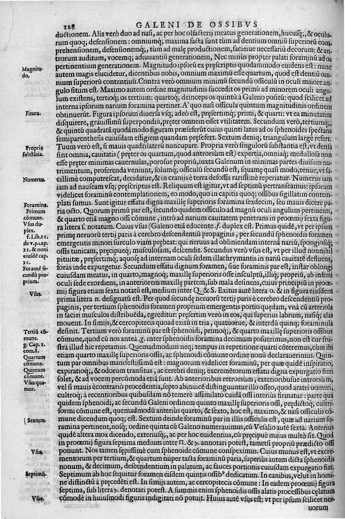 An illustration from Joan. Philippi Ingrassiae,... In Galeni librum de Ossibus... commentaria, nunc primum sedulo in lucem edita... quibus appositus est graecus Galeni contextus, una cum nova et fideli ejusdem Ingrassiae in latinum versione, 1603, leaf 133