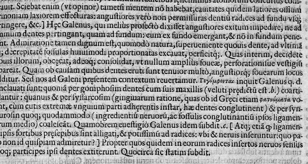 An illustration from Joan. Philippi Ingrassiae,... In Galeni librum de Ossibus... commentaria, nunc primum sedulo in lucem edita... quibus appositus est graecus Galeni contextus, una cum nova et fideli ejusdem Ingrassiae in latinum versione, 1603, leaf 146