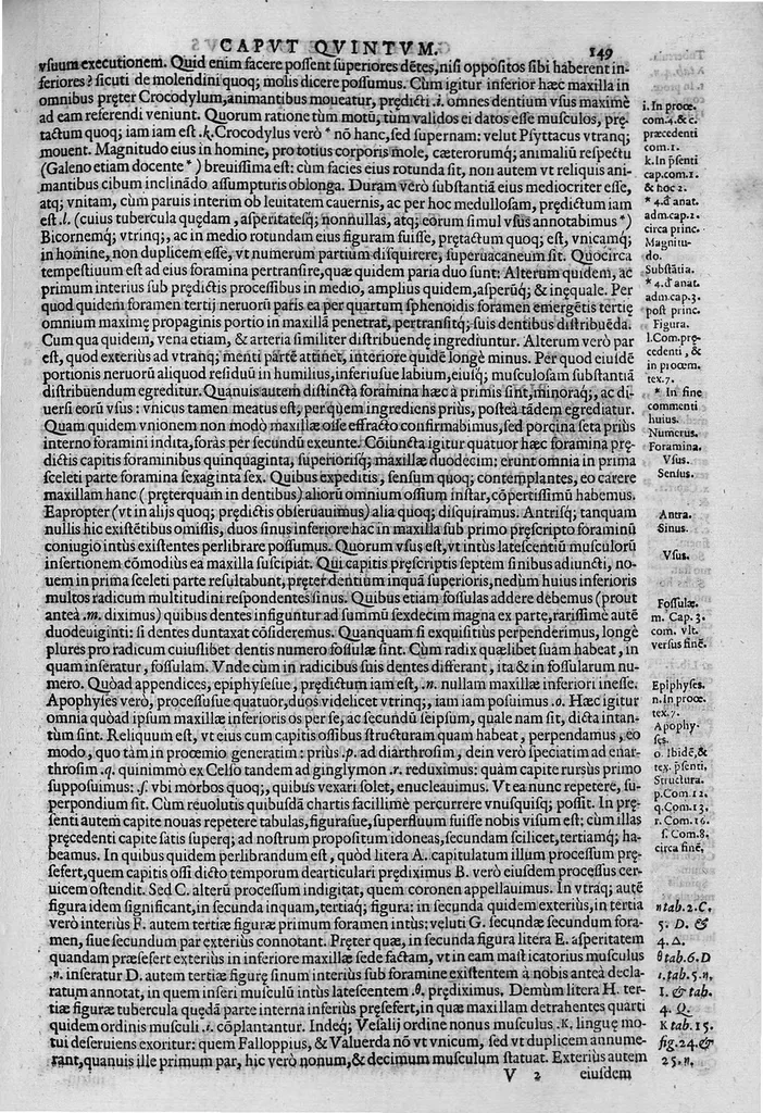 An illustration from Joan. Philippi Ingrassiae,... In Galeni librum de Ossibus... commentaria, nunc primum sedulo in lucem edita... quibus appositus est graecus Galeni contextus, una cum nova et fideli ejusdem Ingrassiae in latinum versione, 1603, leaf 154