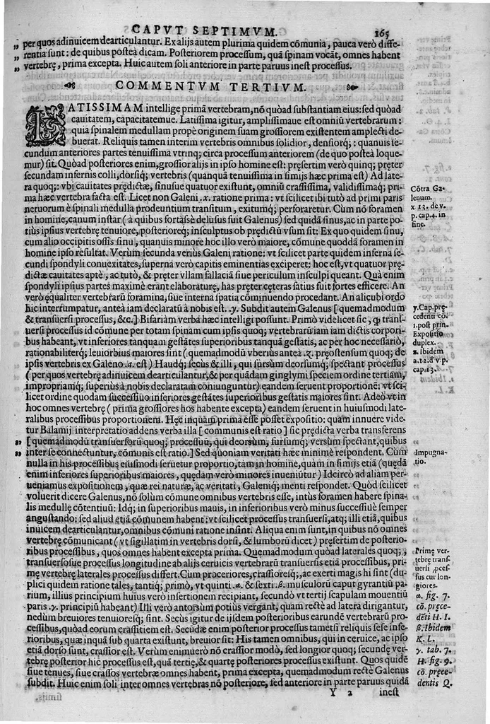 An illustration from Joan. Philippi Ingrassiae,... In Galeni librum de Ossibus... commentaria, nunc primum sedulo in lucem edita... quibus appositus est graecus Galeni contextus, una cum nova et fideli ejusdem Ingrassiae in latinum versione, 1603, leaf 170