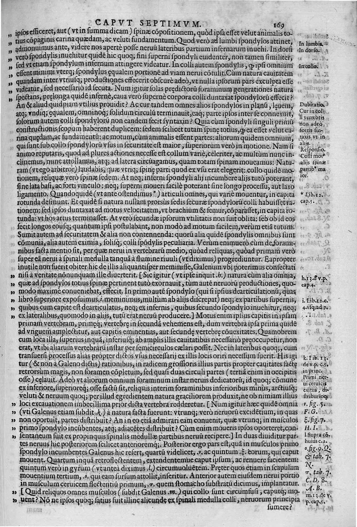 An illustration from Joan. Philippi Ingrassiae,... In Galeni librum de Ossibus... commentaria, nunc primum sedulo in lucem edita... quibus appositus est graecus Galeni contextus, una cum nova et fideli ejusdem Ingrassiae in latinum versione, 1603, leaf 174