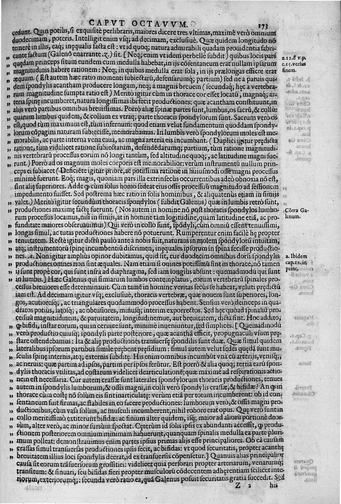 An illustration from Joan. Philippi Ingrassiae,... In Galeni librum de Ossibus... commentaria, nunc primum sedulo in lucem edita... quibus appositus est graecus Galeni contextus, una cum nova et fideli ejusdem Ingrassiae in latinum versione, 1603, leaf 178