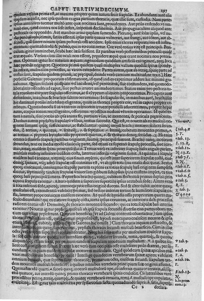 An illustration from Joan. Philippi Ingrassiae,... In Galeni librum de Ossibus... commentaria, nunc primum sedulo in lucem edita... quibus appositus est graecus Galeni contextus, una cum nova et fideli ejusdem Ingrassiae in latinum versione, 1603, leaf 202