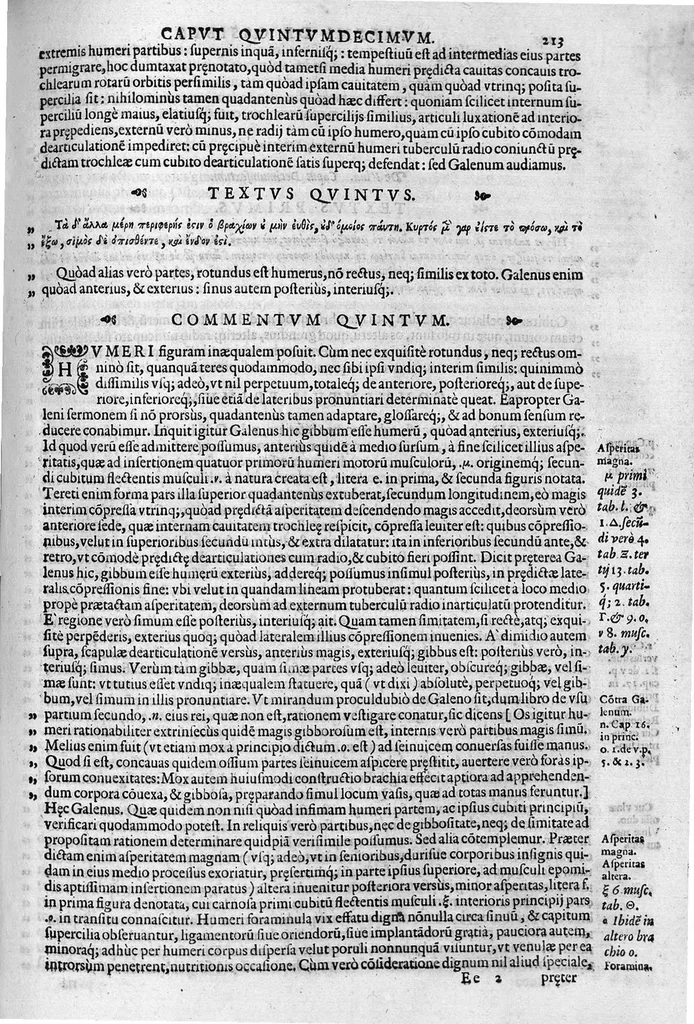 An illustration from Joan. Philippi Ingrassiae,... In Galeni librum de Ossibus... commentaria, nunc primum sedulo in lucem edita... quibus appositus est graecus Galeni contextus, una cum nova et fideli ejusdem Ingrassiae in latinum versione, 1603, leaf 218