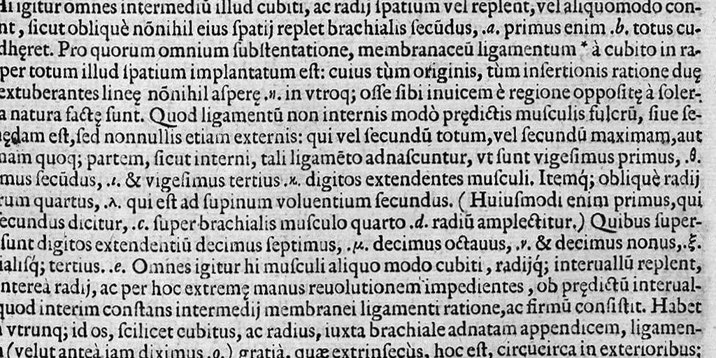 An illustration from Joan. Philippi Ingrassiae,... In Galeni librum de Ossibus... commentaria, nunc primum sedulo in lucem edita... quibus appositus est graecus Galeni contextus, una cum nova et fideli ejusdem Ingrassiae in latinum versione, 1603, leaf 224