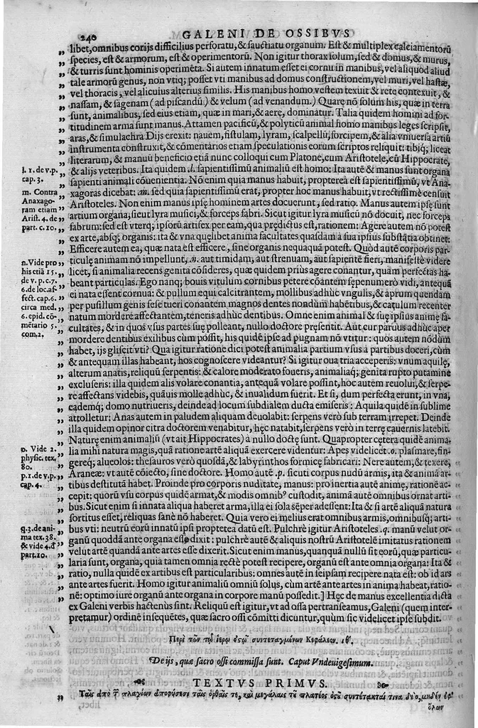 An illustration from Joan. Philippi Ingrassiae,... In Galeni librum de Ossibus... commentaria, nunc primum sedulo in lucem edita... quibus appositus est graecus Galeni contextus, una cum nova et fideli ejusdem Ingrassiae in latinum versione, 1603, leaf 245