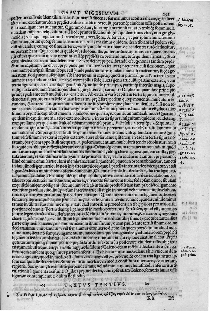 An illustration from Joan. Philippi Ingrassiae,... In Galeni librum de Ossibus... commentaria, nunc primum sedulo in lucem edita... quibus appositus est graecus Galeni contextus, una cum nova et fideli ejusdem Ingrassiae in latinum versione, 1603, leaf 256