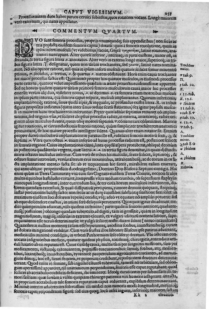An illustration from Joan. Philippi Ingrassiae,... In Galeni librum de Ossibus... commentaria, nunc primum sedulo in lucem edita... quibus appositus est graecus Galeni contextus, una cum nova et fideli ejusdem Ingrassiae in latinum versione, 1603, leaf 258