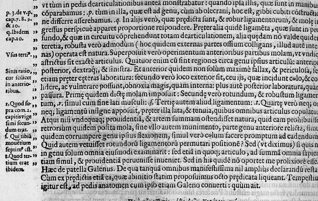 An illustration from Joan. Philippi Ingrassiae,... In Galeni librum de Ossibus... commentaria, nunc primum sedulo in lucem edita... quibus appositus est graecus Galeni contextus, una cum nova et fideli ejusdem Ingrassiae in latinum versione, 1603, leaf 269