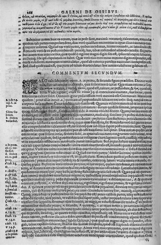 An illustration from Joan. Philippi Ingrassiae,... In Galeni librum de Ossibus... commentaria, nunc primum sedulo in lucem edita... quibus appositus est graecus Galeni contextus, una cum nova et fideli ejusdem Ingrassiae in latinum versione, 1603, leaf 271