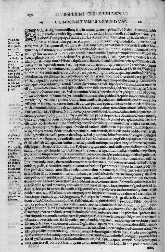 An illustration from Joan. Philippi Ingrassiae,... In Galeni librum de Ossibus... commentaria, nunc primum sedulo in lucem edita... quibus appositus est graecus Galeni contextus, una cum nova et fideli ejusdem Ingrassiae in latinum versione, 1603, leaf 277