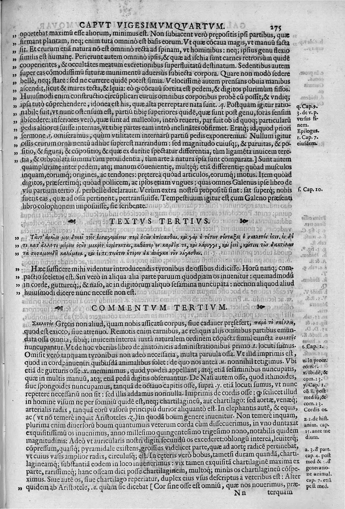 An illustration from Joan. Philippi Ingrassiae,... In Galeni librum de Ossibus... commentaria, nunc primum sedulo in lucem edita... quibus appositus est graecus Galeni contextus, una cum nova et fideli ejusdem Ingrassiae in latinum versione, 1603, leaf 280