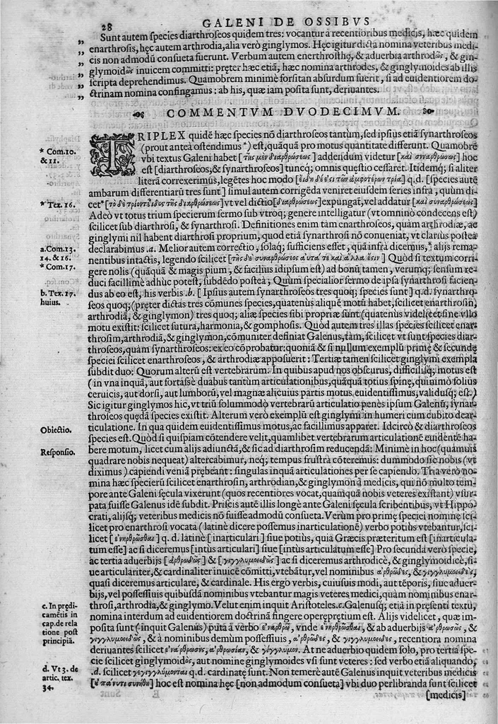 An illustration from Joan. Philippi Ingrassiae,... In Galeni librum de Ossibus... commentaria, nunc primum sedulo in lucem edita... quibus appositus est graecus Galeni contextus, una cum nova et fideli ejusdem Ingrassiae in latinum versione, 1603, leaf 33