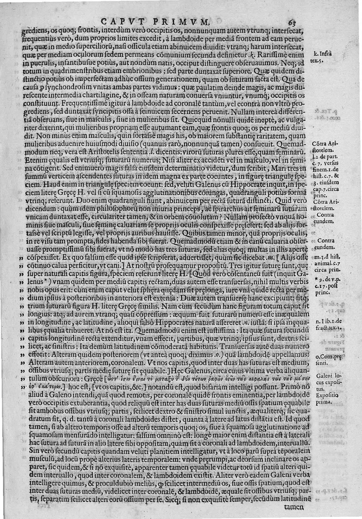 An illustration from Joan. Philippi Ingrassiae,... In Galeni librum de Ossibus... commentaria, nunc primum sedulo in lucem edita... quibus appositus est graecus Galeni contextus, una cum nova et fideli ejusdem Ingrassiae in latinum versione, 1603, leaf 68