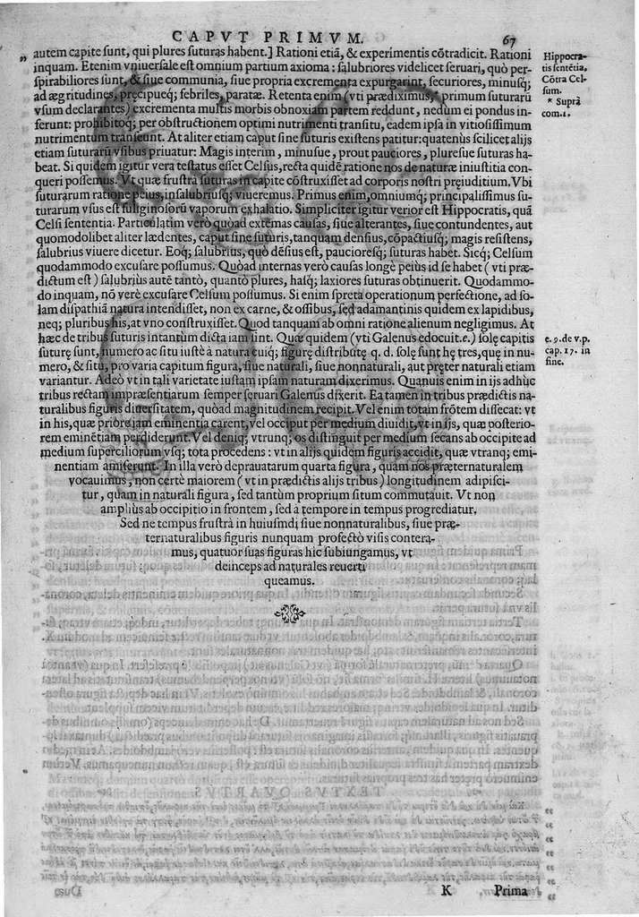 An illustration from Joan. Philippi Ingrassiae,... In Galeni librum de Ossibus... commentaria, nunc primum sedulo in lucem edita... quibus appositus est graecus Galeni contextus, una cum nova et fideli ejusdem Ingrassiae in latinum versione, 1603, leaf 72