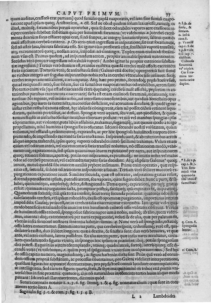 An illustration from Joan. Philippi Ingrassiae,... In Galeni librum de Ossibus... commentaria, nunc primum sedulo in lucem edita... quibus appositus est graecus Galeni contextus, una cum nova et fideli ejusdem Ingrassiae in latinum versione, 1603, leaf 82