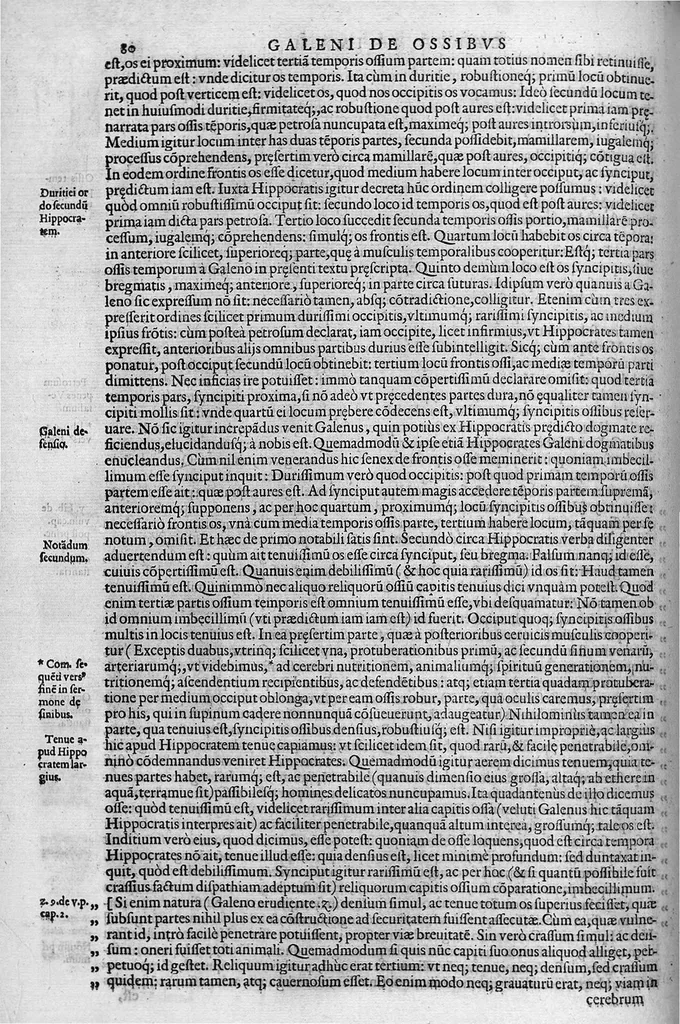 An illustration from Joan. Philippi Ingrassiae,... In Galeni librum de Ossibus... commentaria, nunc primum sedulo in lucem edita... quibus appositus est graecus Galeni contextus, una cum nova et fideli ejusdem Ingrassiae in latinum versione, 1603, leaf 85