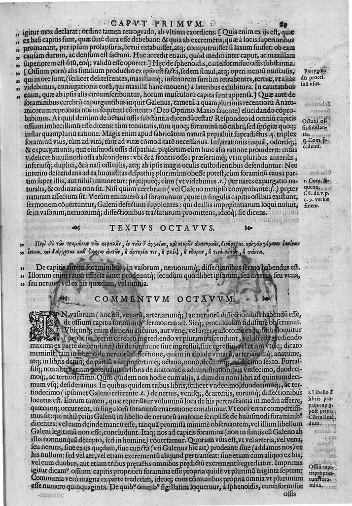 An illustration from Joan. Philippi Ingrassiae,... In Galeni librum de Ossibus... commentaria, nunc primum sedulo in lucem edita... quibus appositus est graecus Galeni contextus, una cum nova et fideli ejusdem Ingrassiae in latinum versione, 1603, leaf 94