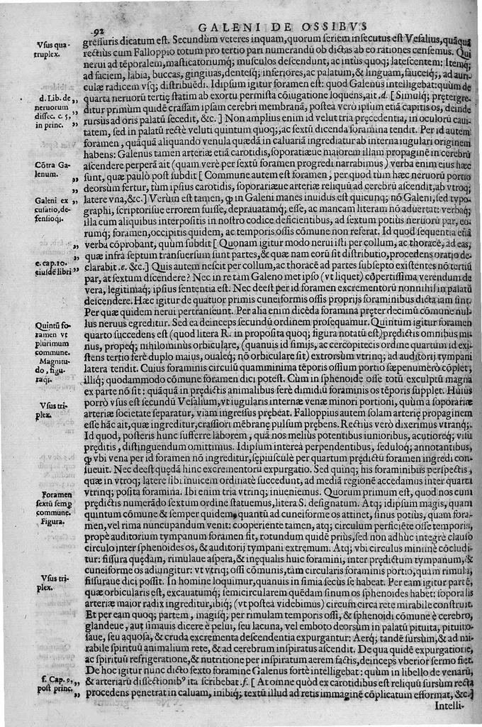 An illustration from Joan. Philippi Ingrassiae,... In Galeni librum de Ossibus... commentaria, nunc primum sedulo in lucem edita... quibus appositus est graecus Galeni contextus, una cum nova et fideli ejusdem Ingrassiae in latinum versione, 1603, leaf 97