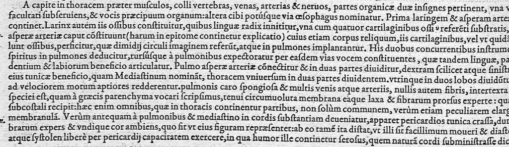 An illustration from Anatomes totius, aere insculpta delineatio, cui addita est Epitome, innumeris mendis repurgata, quam de corporis humani conscripsit... And. Vesalius. Eique accessit partium corporis tum simplicium tum compositarum brevis elucidatio, per Jacobum Grevinum, 1565, leaf 144