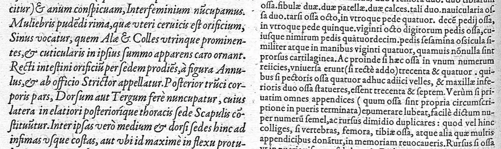An illustration from Anatomes totius, aere insculpta delineatio, cui addita est Epitome, innumeris mendis repurgata, quam de corporis humani conscripsit... And. Vesalius. Eique accessit partium corporis tum simplicium tum compositarum brevis elucidatio, per Jacobum Grevinum, 1565, leaf 27