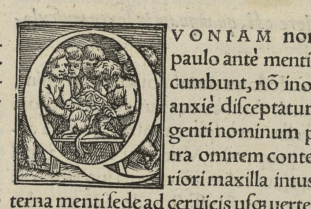An illustration from Andreae Vesalii,... de Humani corporis fabrica libri septem..., 1543, leaf 602