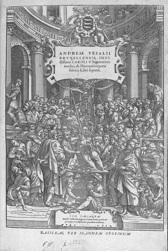 An illustration from Andreae Vesalii,... de Humani corporis fabrica libri septem..., 1555, leaf 0