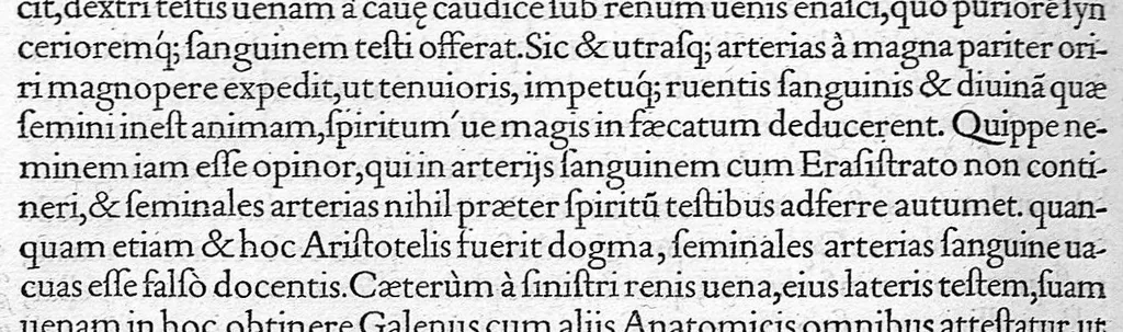 An illustration from Andreae Vesalii,... de Humani corporis fabrica libri septem..., 1555, leaf 655