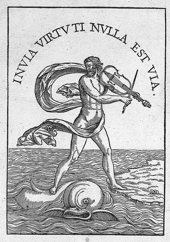 An illustration from Andreae Vesalii,... de Humani corporis fabrica libri septem..., 1555, leaf 881