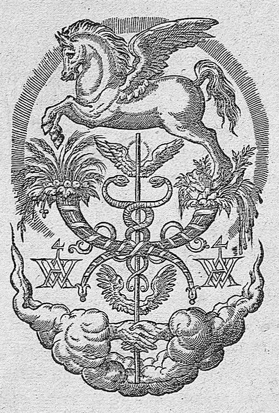 An illustration from Les portraits anatomiques de toutes les parties du corps humain, gravez en taille douce, par le commandement de feu Henry huictiesme, Roy d’Angleterre. Ensemble l’Abbregé d’André Vesal, et l’explication d’iceux, accompagnee d’une declaration Anatomique. Par Jaques Grevin, de Clermont en Beauvoisis, Medecin à Paris,, 1569, leaf 2