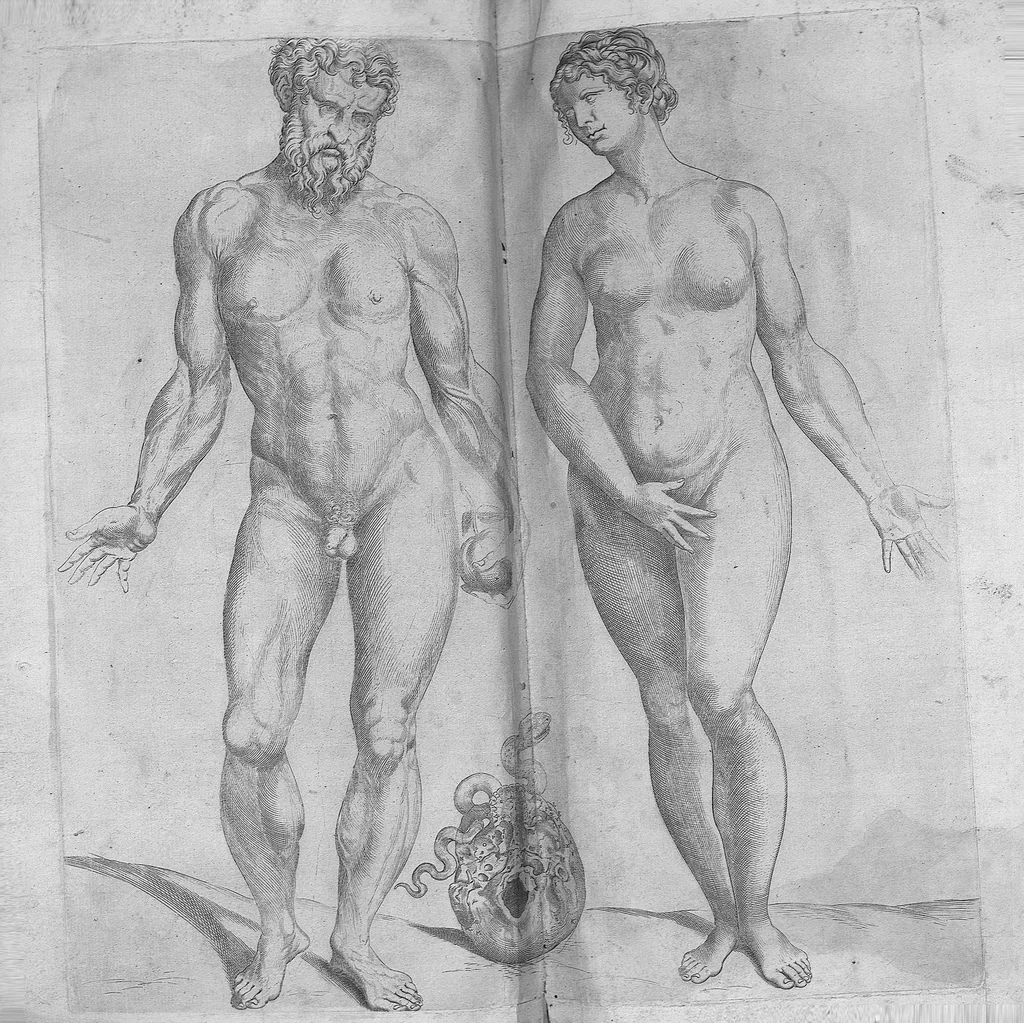An illustration from Les portraits anatomiques de toutes les parties du corps humain, gravez en taille douce, par le commandement de feu Henry huictiesme, Roy d’Angleterre. Ensemble l’Abbregé d’André Vesal, et l’explication d’iceux, accompagnee d’une declaration Anatomique. Par Jaques Grevin, de Clermont en Beauvoisis, Medecin à Paris,, 1569, leaf 37
