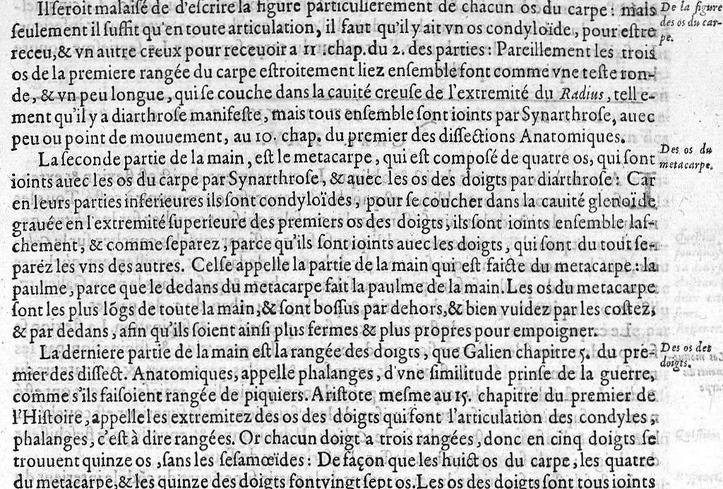 An illustration from Leçons anatomiques et chirurgicales…corrigées par Estienne Binet, Paris, Denis Langlois, 1612, 1612, leaf 108