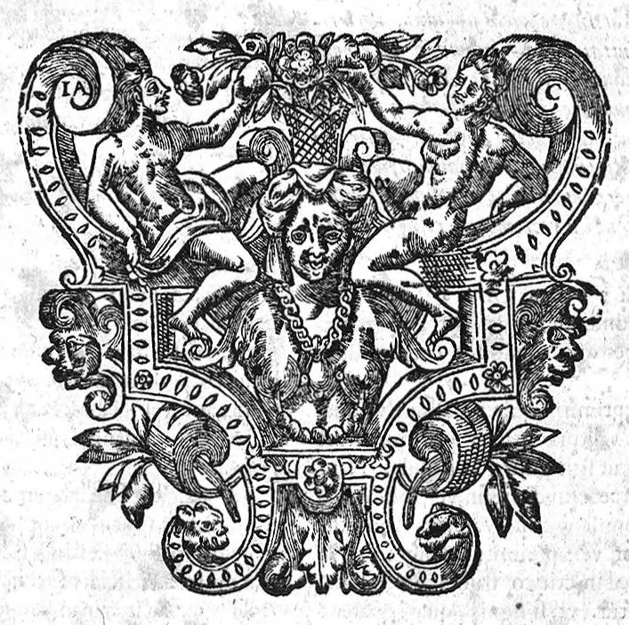 An illustration from Joannis Heurnii,... Opera omnia tam ad theoriam quam ad praxin medicam spectantia... Iuxta Otthonis Heurnii,... tomus Secundus, 1658, leaf 369