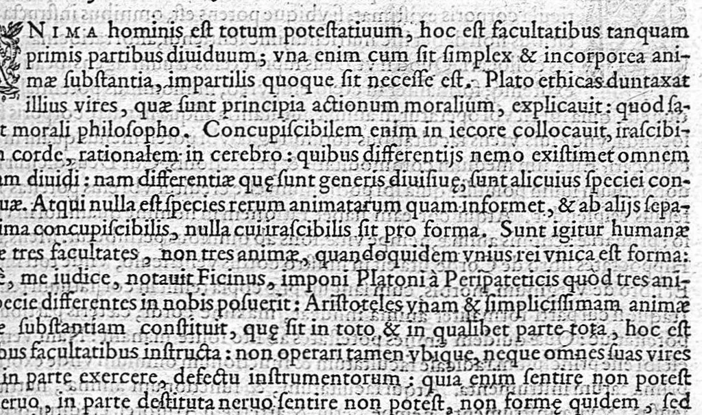 An illustration from Ioannis Riolani ambiani medici parisiensis , viri clarissimi opera omnia, 1610, leaf 475