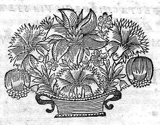 An illustration from Les Oeuvres de N. Abraham de La Framboisière... où sont méthodiquement descrites l'histoire du monde, la médecine, la chirurgie et la pharmacie, pour la conservation de la santé, et la guérison des maladies internes et externes ..., 1669, leaf 552