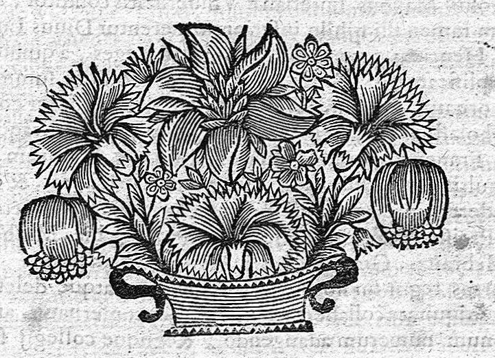 An illustration from Les Oeuvres de N. Abraham de La Framboisière... où sont méthodiquement descrites l'histoire du monde, la médecine, la chirurgie et la pharmacie, pour la conservation de la santé, et la guérison des maladies internes et externes ..., 1669, leaf 891