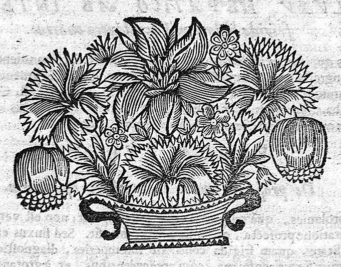 An illustration from Les Oeuvres de N. Abraham de La Framboisière... où sont méthodiquement descrites l'histoire du monde, la médecine, la chirurgie et la pharmacie, pour la conservation de la santé, et la guérison des maladies internes et externes ..., 1669, leaf 978