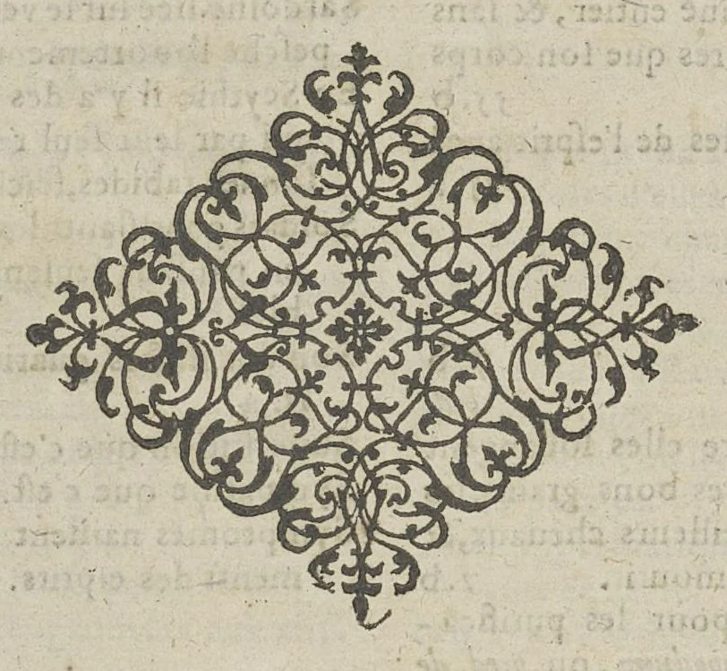 An illustration from Toutes les Oeuvres...trad. par Théophile Gelée, 1613, leaf 1021