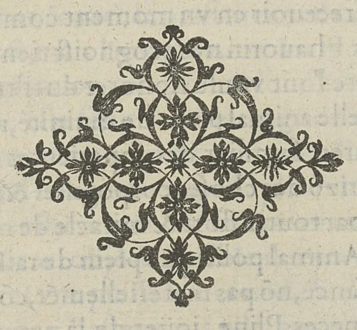 An illustration from Toutes les Oeuvres...trad. par Théophile Gelée, 1613, leaf 1062