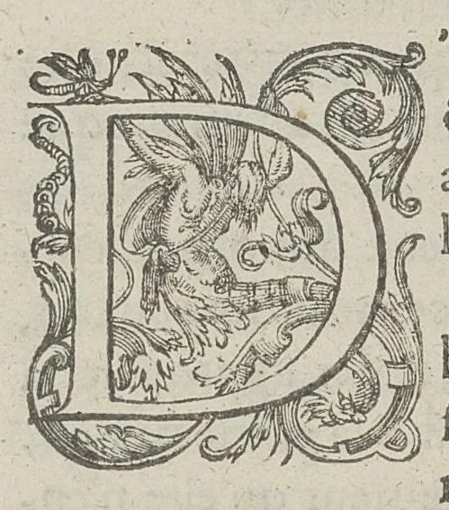An illustration from Toutes les Oeuvres...trad. par Théophile Gelée, 1613, leaf 1117