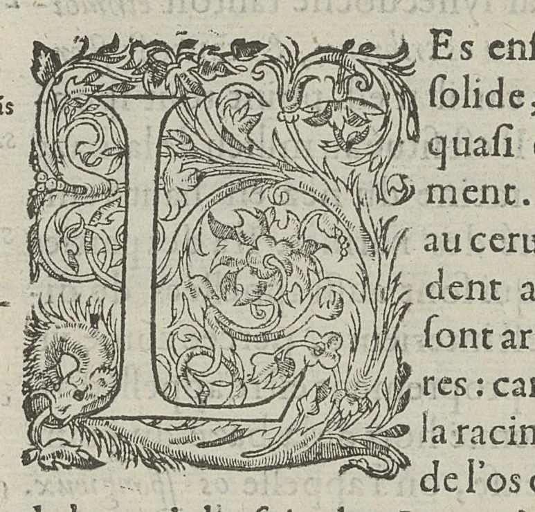 An illustration from Toutes les Oeuvres...trad. par Théophile Gelée, 1613, leaf 117