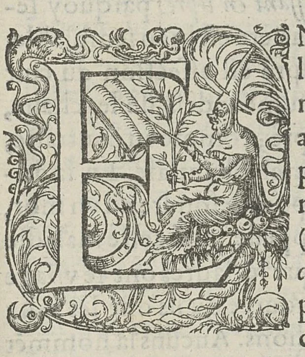 An illustration from Toutes les Oeuvres...trad. par Théophile Gelée, 1613, leaf 1176