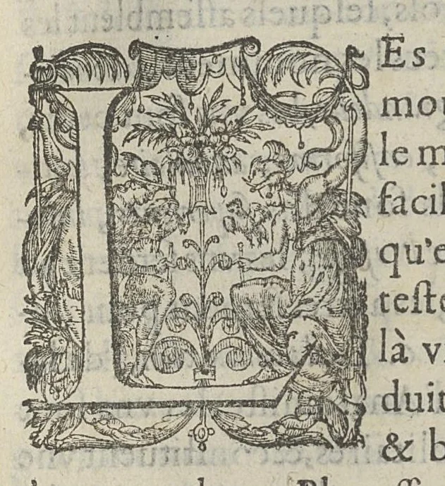 An illustration from Toutes les Oeuvres...trad. par Théophile Gelée, 1613, leaf 154