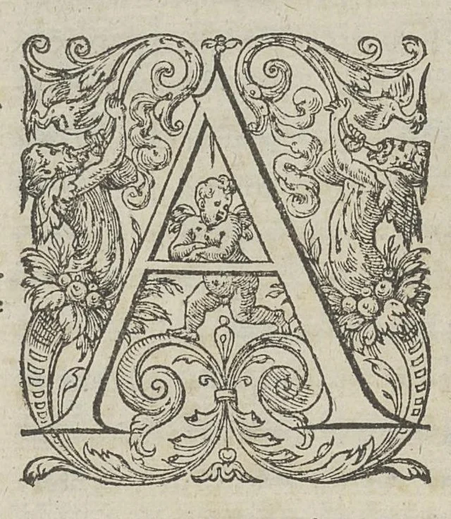 An illustration from Toutes les Oeuvres...trad. par Théophile Gelée, 1613, leaf 175
