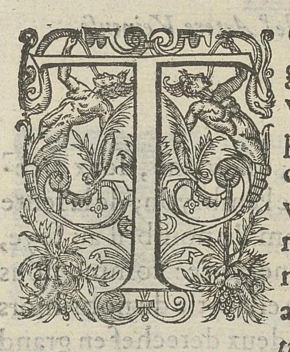 An illustration from Toutes les Oeuvres...trad. par Théophile Gelée, 1613, leaf 213