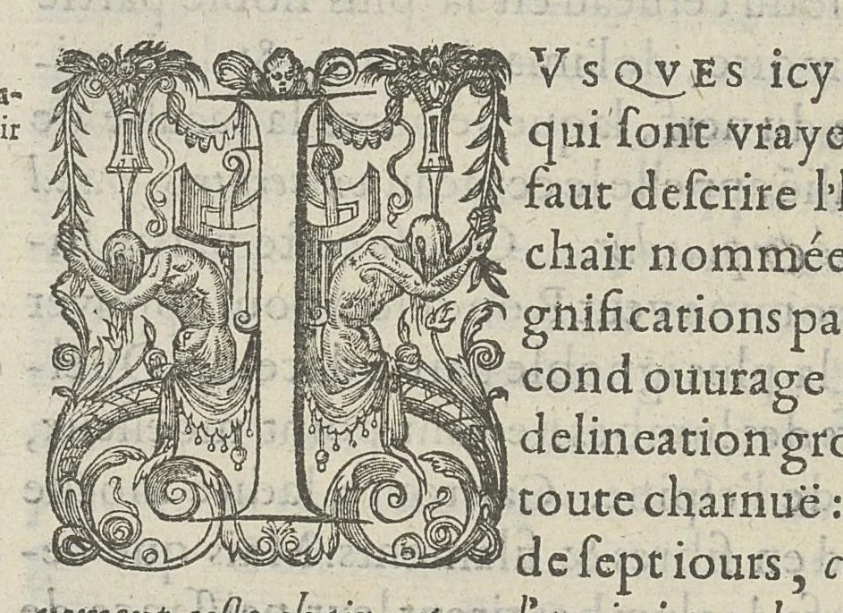 An illustration from Toutes les Oeuvres...trad. par Théophile Gelée, 1613, leaf 241