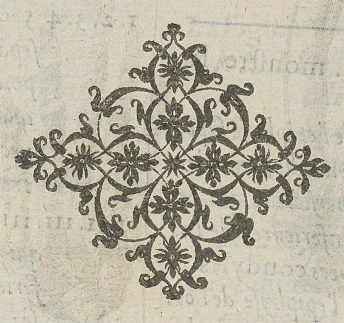 An illustration from Toutes les Oeuvres...trad. par Théophile Gelée, 1613, leaf 305