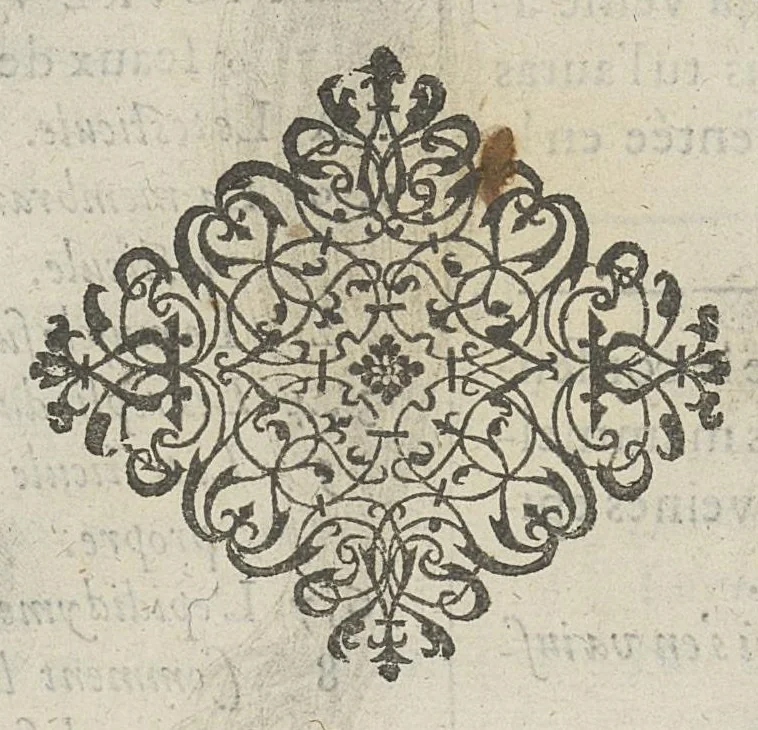 An illustration from Toutes les Oeuvres...trad. par Théophile Gelée, 1613, leaf 311