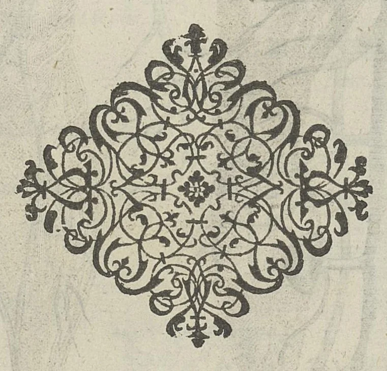 An illustration from Toutes les Oeuvres...trad. par Théophile Gelée, 1613, leaf 315